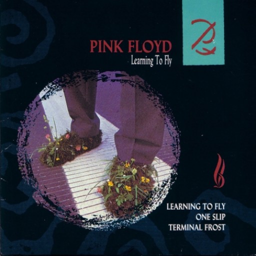 PINK FLOYD - LEARNING TO FLY