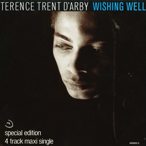 TERENCE TRENT DARBY - WISHING WELL